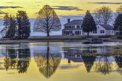 Duxbury Perfect Tree Photography Artwork